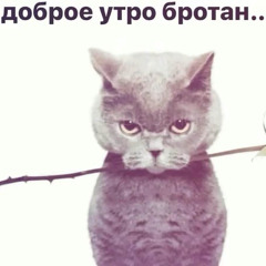 тёмный шприц