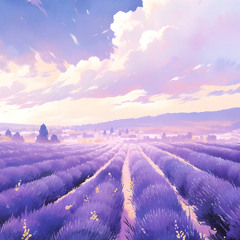 from the sky 空から part 2