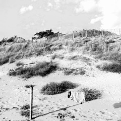 BRL02 prod. @Riki @Dozö.