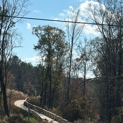 new Little Caesars jingle