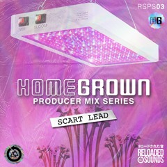 RSPS03: Scart Lead