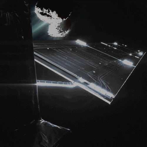 Cryptostegia - Resonant