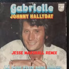 johnny halliday gabrielle jesse marshall remix.mp3