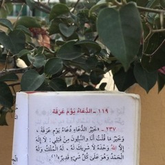 أنس التائبين في يوم عرفة | راشد الحليبة