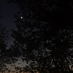 Fasıl-ı jazz - Sen bir aysın