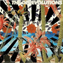 The Derevolutions Theme Song