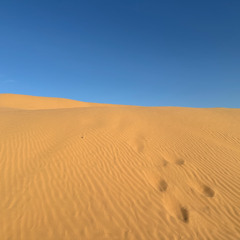 Ben Floww - Waves 012 (Harmony Desert Experience, Vocal Set)