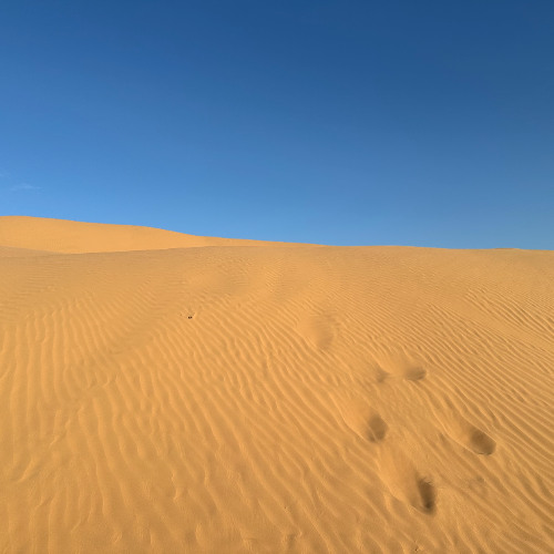 Ben Floww - Waves 012 (Harmony Desert Experience, Vocal Set)