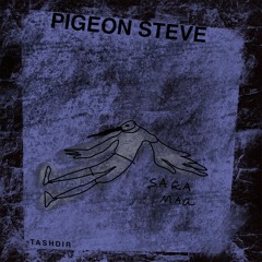 TASHDIR 〄 Pigeon Steve