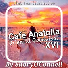 Cafe Anatolia XVI By SabryOConnell