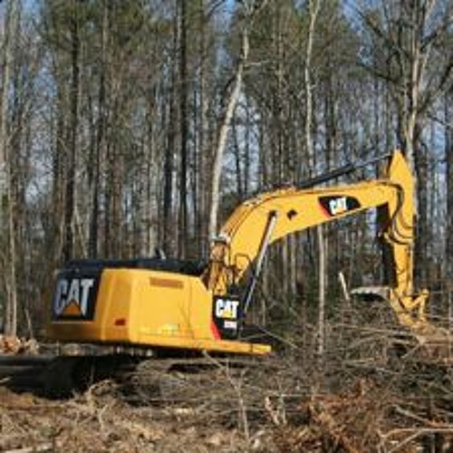 Stream Florida Land Clearing Underbrush Removal and Forestry Mulching