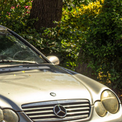 BENZ BENZ BENZ