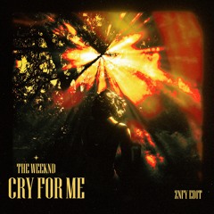 Cry For Me (ZNFY EDIT)