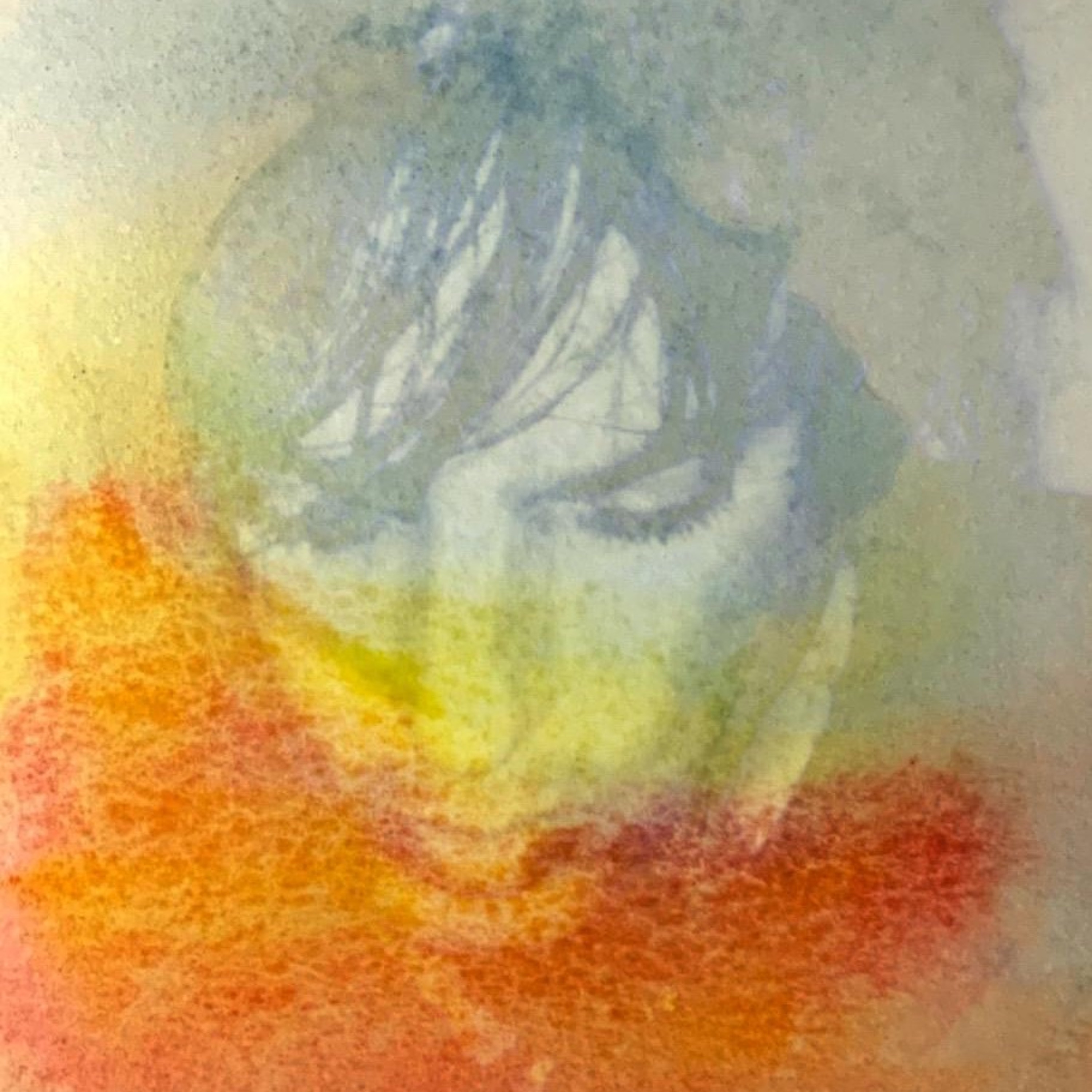 Head in the Clouds