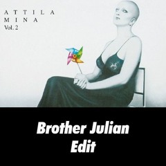 Mina - Fiore Amaro (Brother Julian Groove Edit)