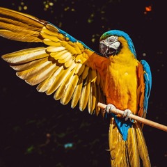 ابداع وجمال ☄️🎧من سورة الإنسان