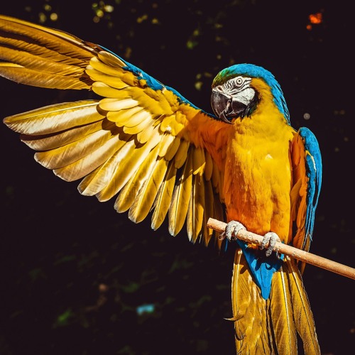 ابداع وجمال ☄️🎧من سورة الإنسان