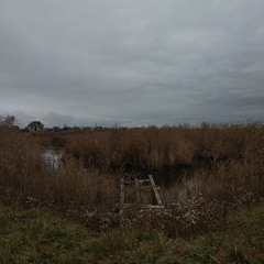 ПоРаНам