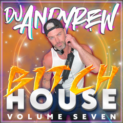 Dj Andyrew BITCH HOUSE Vol 7