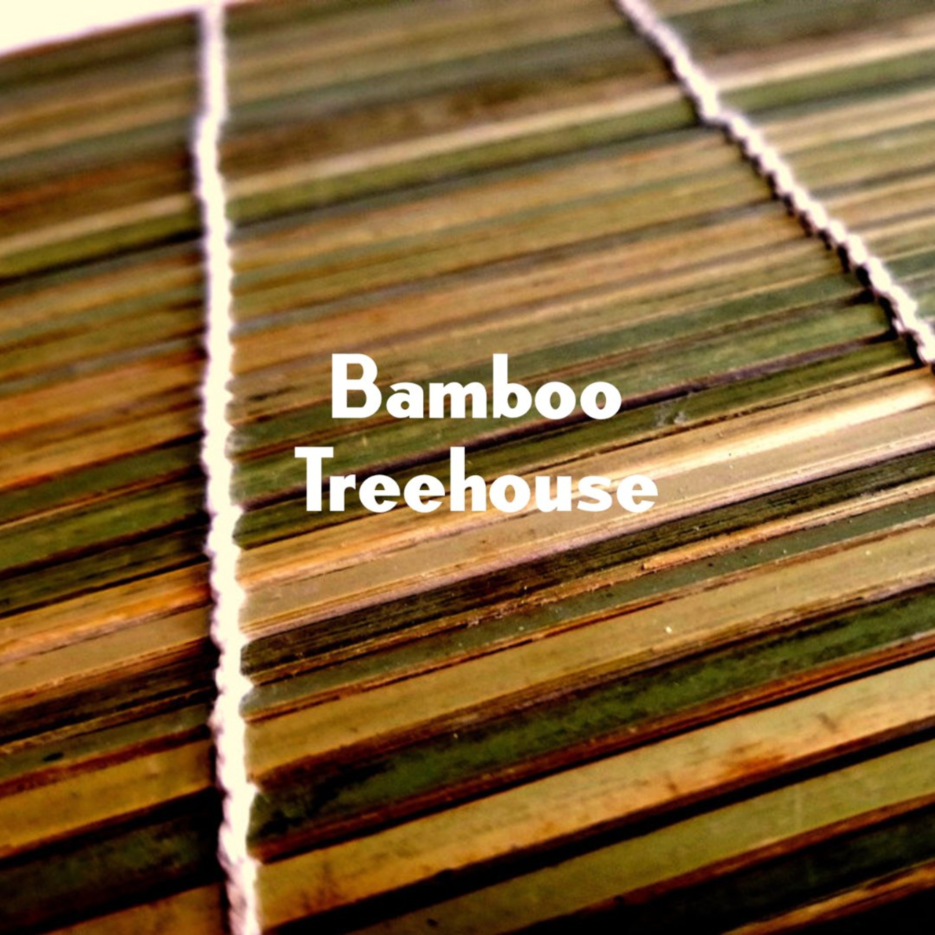 Bamboo Treehouse episode artwork