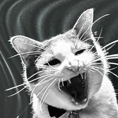 Used To Be (Original Mix)