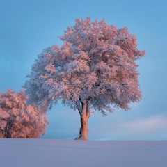 Your Song - Ellie Goulding Cover