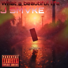What a Beautiful Life