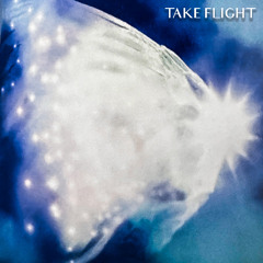 Take Flight