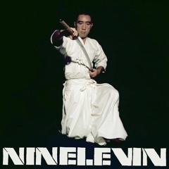 NINELEVIN - EXTINCT
