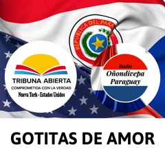 22 12 2024 - GOTITAS DE AMOR- Programa Completo