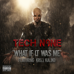What If It Was Me (feat. Krizz Kaliko)