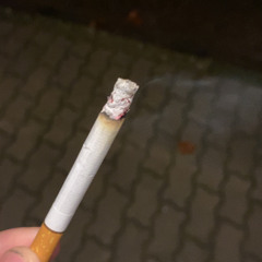 Život není krásný