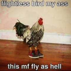 Caruso ( Play with Me n.42) - Andrea Giuffredi trumpet