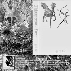 PREMIERE A01 // Thissperso - Tus Cicatrices [Fill-Lex Records]