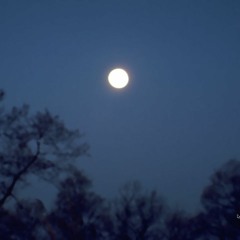 stay the night 1.2