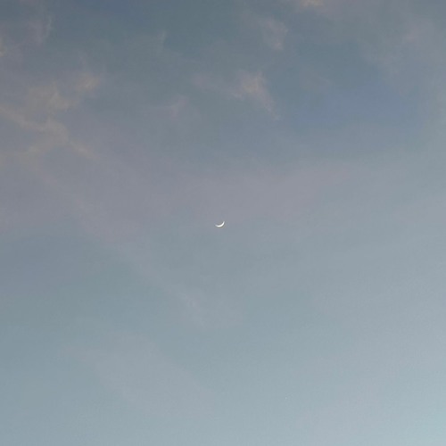 첫 번째 고백