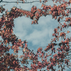 fall in love ft. lesthegenius (prod. gc)