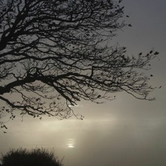 New Light