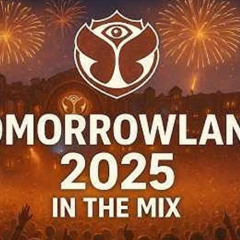 Tomorrowland 2025 (David Guetta, Martin Garrix, Tiesto, Meduza, Avicii, Axwell, Gigi D'Agostino)