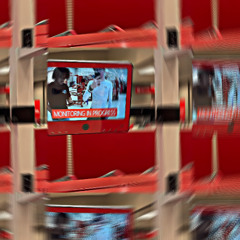 what she need <3 [PetRan]