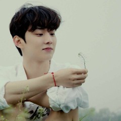 THE BOYZ's Q - 민들레 (Dandelion) Cover Song
