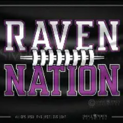 Baltimore Ravens Stand Up