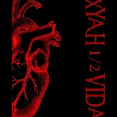 HARDSTYLE IS BACK XYAH.1/2VIDA DJ SET