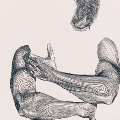 Hallucinations - DHRJ