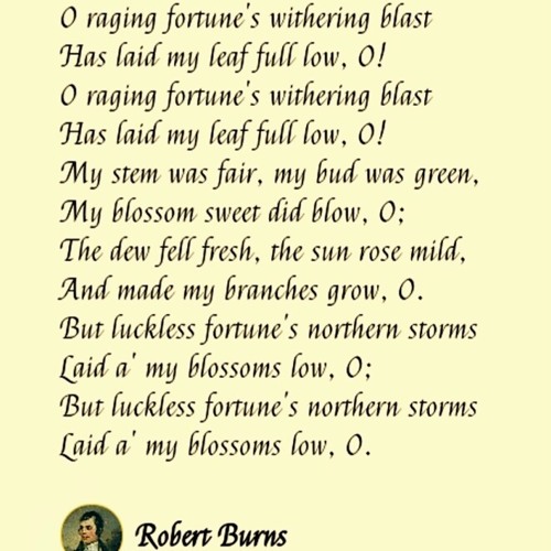 Luckless Fortune (with Philleann on Uilleann Pipes)