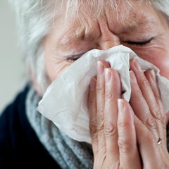 Fever Season