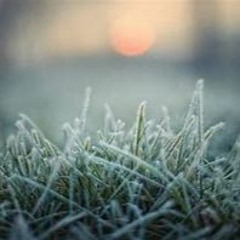 First Frost