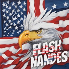 Set 2  Flash Nandes ( Fabrick Nandes )