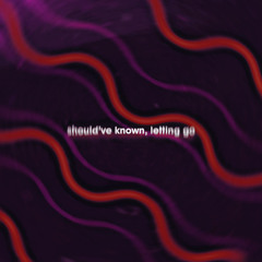 Should've Known, Letting Go