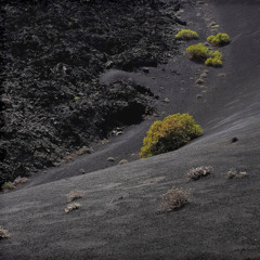 Mount Asama (Naviarhaïku579)